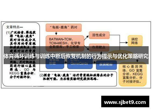 体育循环训练与训练中断后恢复机制的行为提示与优化策略研究