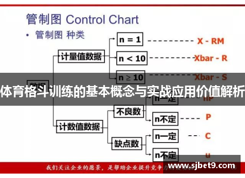 体育格斗训练的基本概念与实战应用价值解析